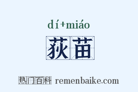 荻苗是什么意思的图片